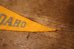 画像3: dp-241106-29 UNIVERSITY OF IDAHO /  Vintage Mini Pennant (3)