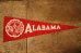 画像1: dp-241106-29 THE UNIVERSITY OF ALABAMA /  Vintage Mini Pennant (1)