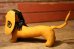 画像6: ct-250107-11 Collegiate 1950's College Mascot Doll "PU" Dachshund