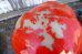 画像9: ct-250205-04 McDonald's 1970's Ronald McDonald Helium Balloon Head