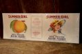 dp-250205-77 THE H.D. LEE FOODS DIVISON SUMMER GIRL NECTAR PEACHES LABEL