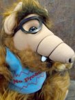 画像2: ct-130305-15 ALF / 80's Plush doll "No Problem" Blue