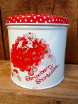 画像1: ct-120802-06 Starwberry Shortcake / 80's Tin case (M)