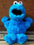 画像1: ct-130521-46 Cookie Monster / Gund 2002 Plush doll