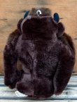 画像4: ct-131229-06 Tasmanian Devil / Mighty Star 70's Plush doll