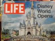 画像3: ct-140114-02 LIFE / October 15. 1971 Disney World Opens