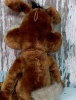 画像4: ct-140516-20 Wile E. Coyote / Mighty Star 70's Plush Doll