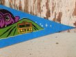 画像4: ct-140516-59 Sesame Street / 80's Pennant