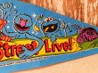 画像3: ct-140516-59 Sesame Street / 80's Pennant