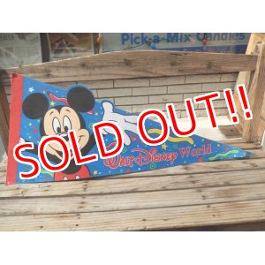 画像: ct-140624-05 Walt Disney World / 90's Pennant