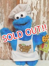 画像: ct-140916-97 Cookie Monster / Nanco 2004 Plush Doll