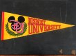 画像1: ct-141028-10 Disney University / Pennant