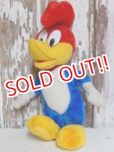 画像: ct-150602-91 Woody Woodpecker / 80's-90's Plush Doll