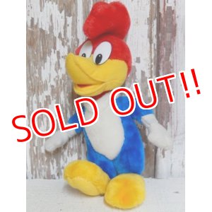 画像: ct-150602-91 Woody Woodpecker / 80's-90's Plush Doll