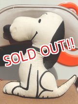 画像: ct-150811-32 Snoopy / 70's Cloth Doll