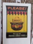 画像2: ct-140715-14 Smokey Bear / 90's Bookmark