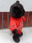 画像4: ct-151104-14 OHIO STATES / Bear Plush Doll