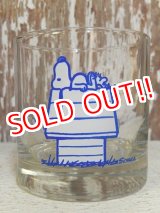 画像: gs-160519-01 Snoopy / 70's Glass "This has been a good day!"