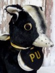 画像2: ct-161101-05 1950's College Mascot Doll "PU"