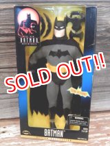 画像: ct-170501-23 BATMAN Adventures / 1997 Kenner 12 " Action Collection Figure