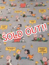 画像: ct-170601-12 PEANUTS / 1970's Flat Sheet (Twin)