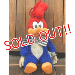 画像: ct-171201-02 Woody Woodpecker / 1982 Plush Doll