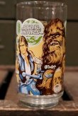 画像1: gs-181001-07 STAR WARS / 1977  "Chewbacca"