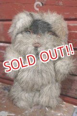 画像: ct-190501-05 Mookiee the Ewok / Kenner 1980's Stuffed Figure