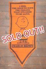 画像: ct-191001-29 PEANUTS / 1960's Banner "Charlie Brown" Orange