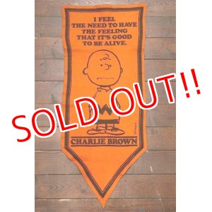 画像: ct-191001-29 PEANUTS / 1960's Banner "Charlie Brown" Orange