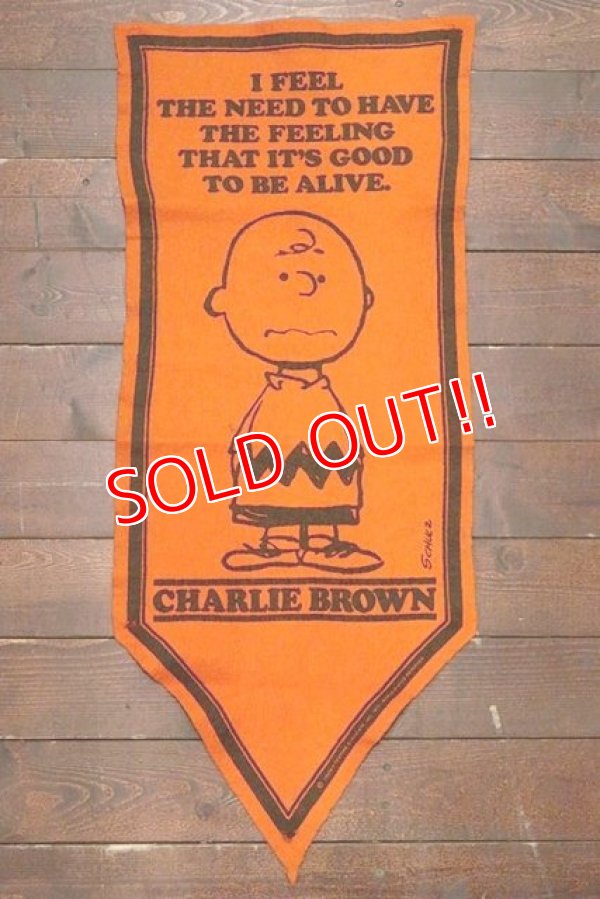 画像1: ct-191001-29 PEANUTS / 1960's Banner "Charlie Brown" Orange