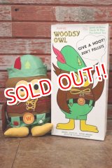 画像: ct-200201-22 Woodsy Owl / Amway 1970's Teach 'N' Play Pre-School Toy