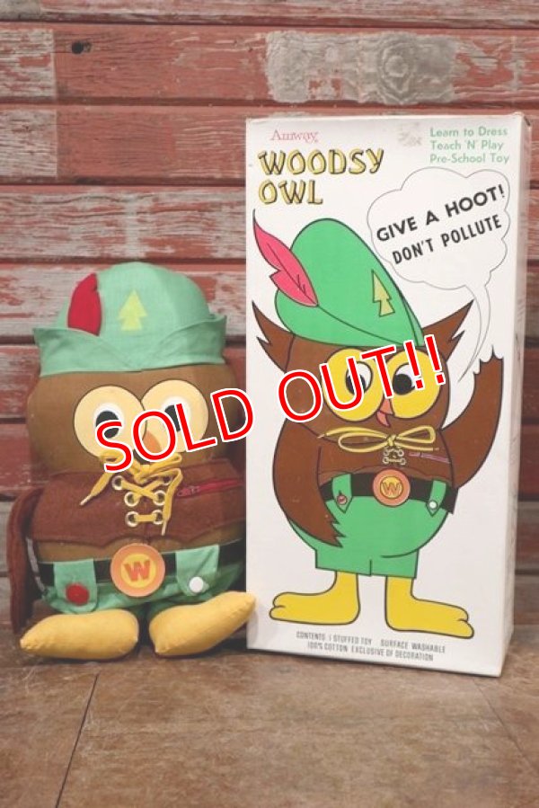 画像1: ct-200201-22 Woodsy Owl / Amway 1970's Teach 'N' Play Pre-School Toy