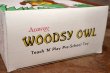 画像9: ct-200201-22 Woodsy Owl / Amway 1970's Teach 'N' Play Pre-School Toy