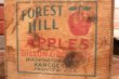 画像1: dp-200901-01 FOREST HILL APPLES / Vintage Wood Box