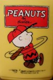 画像13: ct-201101-75 PEANUTS / TEHRMOS 1970's-1980's Luch Box