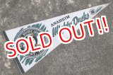 画像: ct-141028-15 ANAHEIM Mighty Ducks / 1990's Pennant