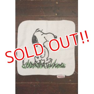 画像: ct-210801-17 Snoopy / Tastemaker 1970's Hand Towel