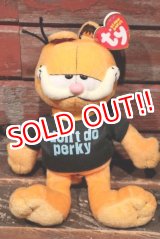 画像: ct-211201-03 Garfield / Ty Beanie Babies 2007 Plush Doll 