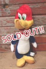 画像: ct-220719-89 Woody Woodpecker / Toy Network 2000 Plush Doll