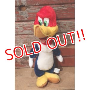 画像: ct-220719-89 Woody Woodpecker / Toy Network 2000 Plush Doll