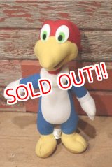 画像: ct-220719-91 Woody Woodpecker / KELLYTOY 1990's Plush Doll