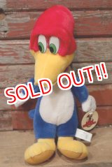 画像: ct-220719-90 Woody Woodpecker / Toy Network 2000 Plush Doll