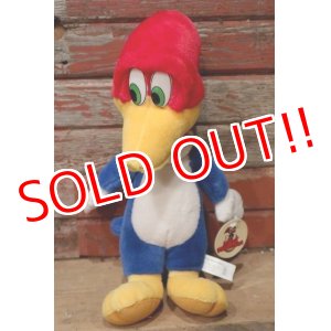 画像: ct-220719-90 Woody Woodpecker / Toy Network 2000 Plush Doll