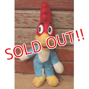 画像: ct-220719-93 Woody Woodpecker / ACE NOVELTY CO. 1985 Plush Doll