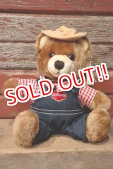 画像: ct-220801-10 Delmonte / Country Yumkin Brawny Bear 1985 Plush Doll