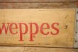 画像4: dp-230401-12 Schwepps / Vintage Wood Box