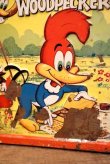 画像2: ct-230601-17 Woody Woodpecker / ALADDIN 1972 Metal Lunch Box