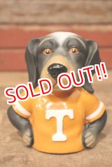 画像: ct-230701-21 University of Tennessee / Smokey Rubber Toy