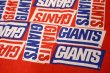 画像3: dp-230809-23 New York Giants / Bandana